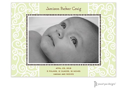 Scrollwork Lime Flat Photo Birth Announcement