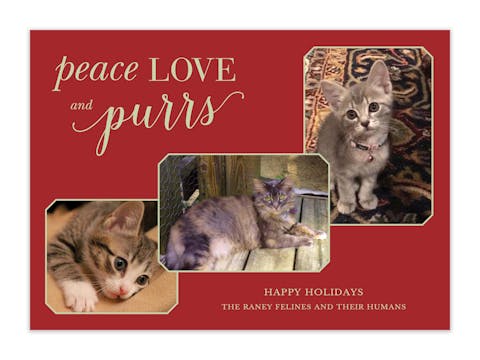 Peace Love and Purrs Holiday Photo Card