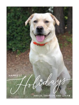 Pet Happiest Holidays Holiday Photo Card