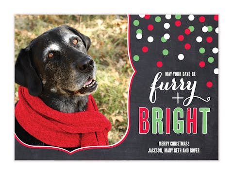 Furry and Bright - Red and Green Flat Photo Card