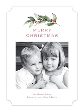 Berry Twig Holiday Photo Card