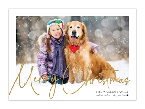 Foil Classic Christmas Holiday Photo Card