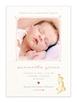 New Baby Sister Digital Photo Announcement