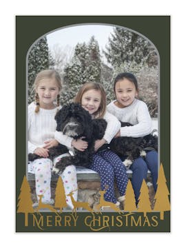 Winterland Foil Pressed Holiday Photo Card