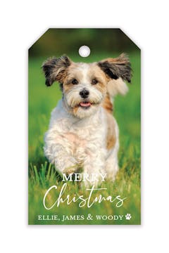 My Photo Hanging Gift Tag
