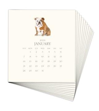 Personalized Pet Calendar 2024 Desk Calendar Refill - Click Personalize to Choose from Many Dog & Cat Breeds