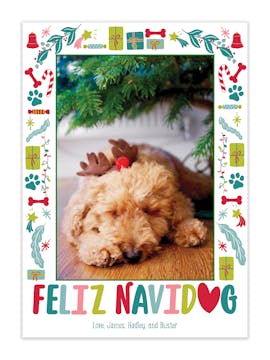 Feliz Navidog Holiday Photo Card