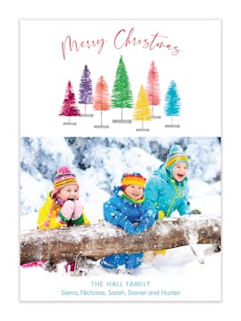 Bottle Brush Trees  Holiday Photo Card
