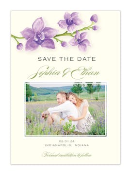 Elegant Orchids Photo Save The Date Card