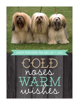 Cold Noses Warm Wishes Holiday Flat Photo Card