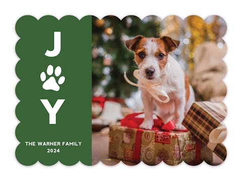 Pet Joy Holiday Photo Card