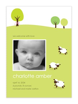 Mary's Little Lambs Girl Photo Birth Announcement