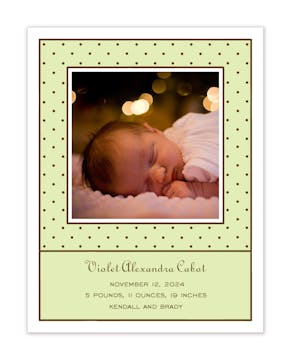 Tiny Dots Lime & Chocolate Flat Photo Birth Announcement